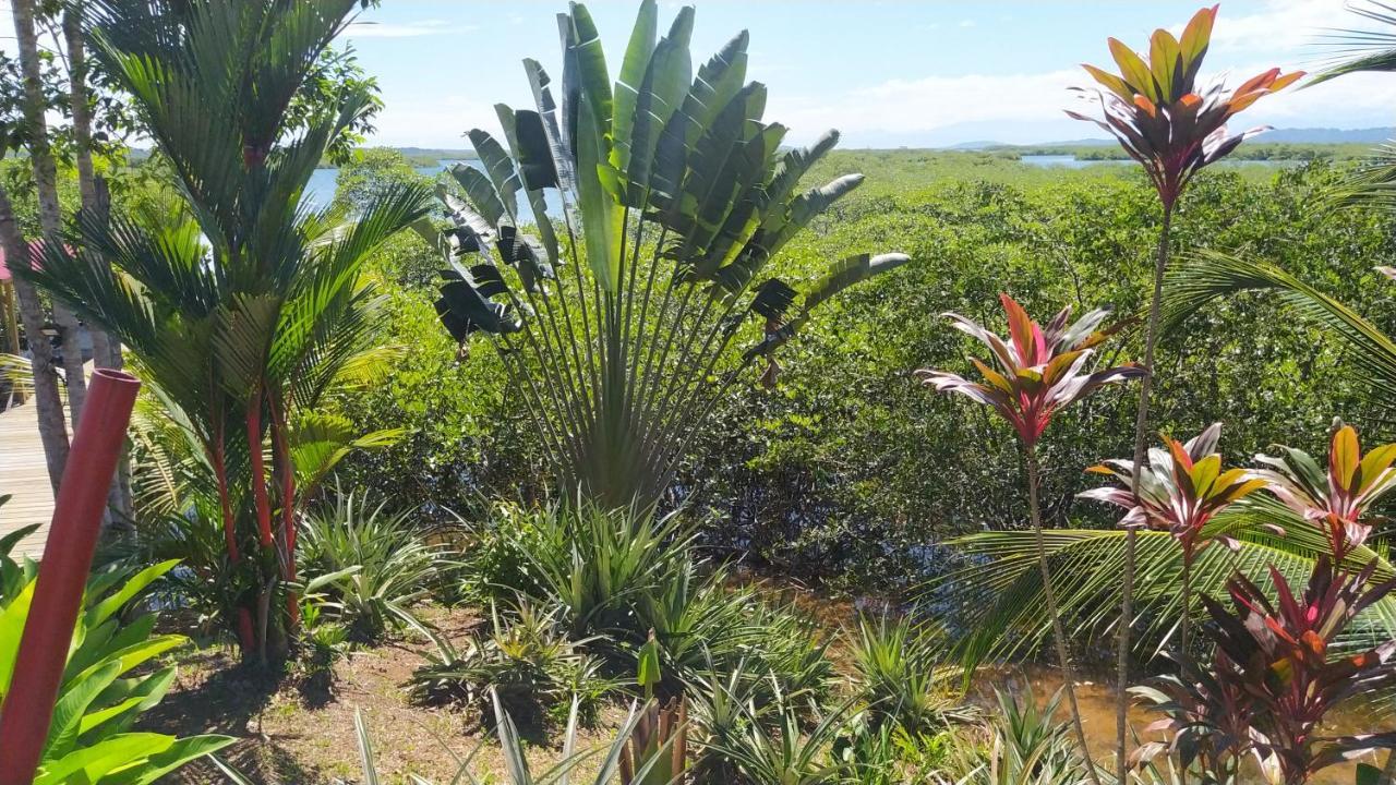 Villa F&B Bocas del Toro Exterior photo